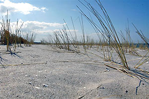 Strand von Graal-Müritz